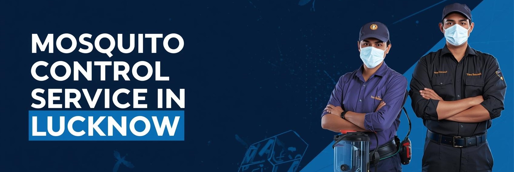 MOSQUITO CONTROL SERVICE IN LUCKNOW