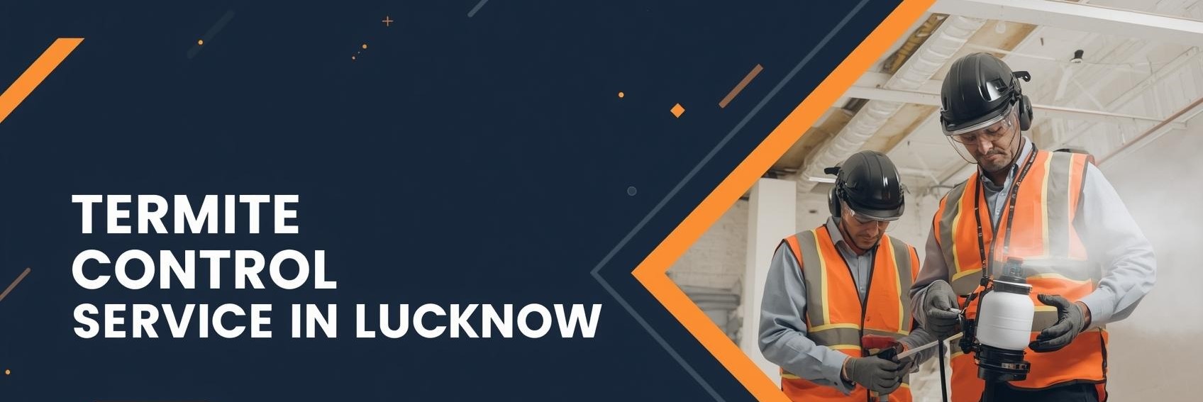 TERMITE CONTROL SERVICE IN LUCKNOW