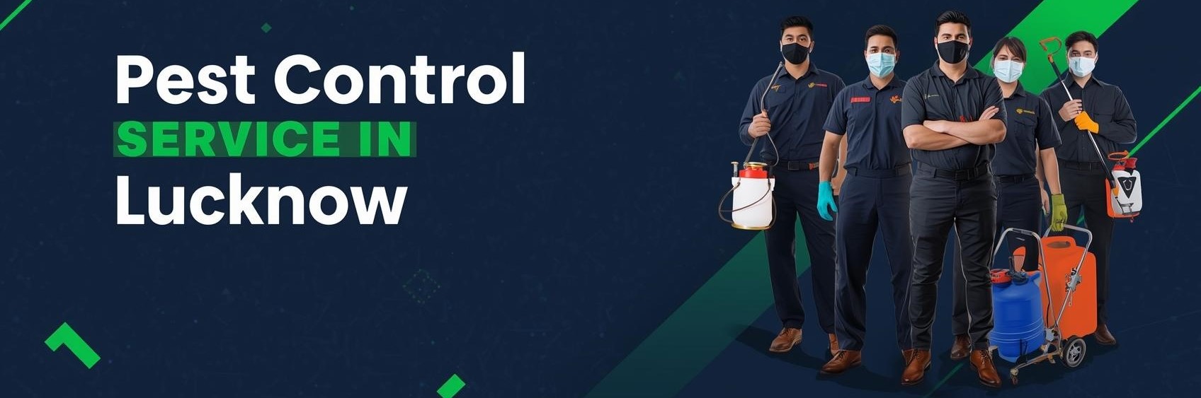 PEST CONTROL SERVICE LUCKNOW