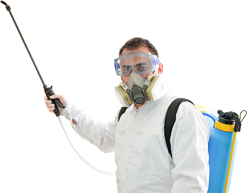 SSB Gallery Image 42