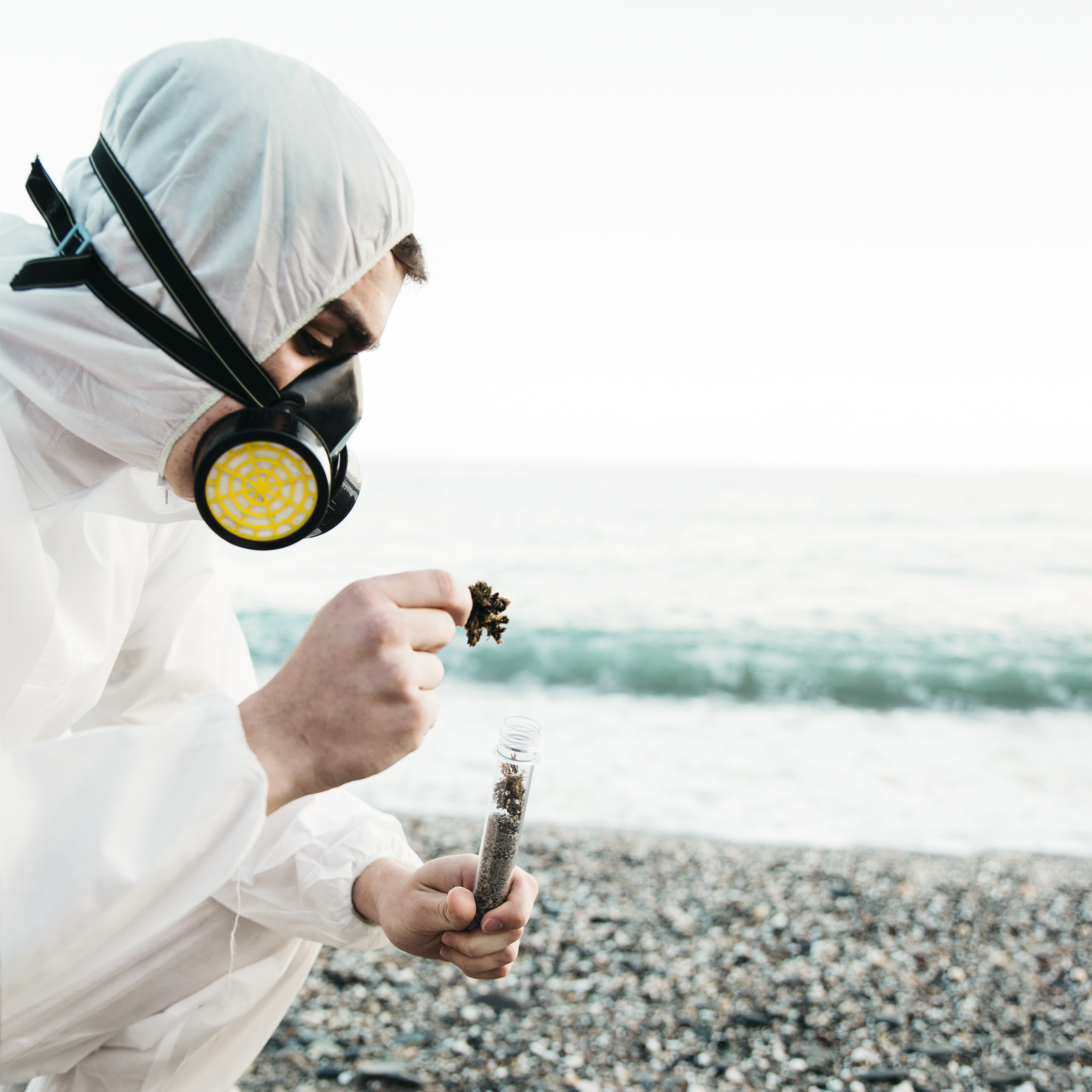 PEST CONTROL SERVICE IN LUCKNOW 